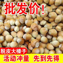 2024 new large hazelnuts without leaves Northeast specialty fresh large hazelnuts of the year