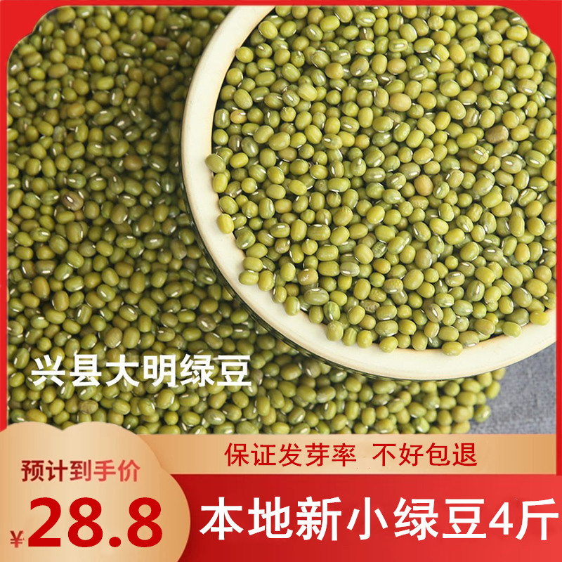 New green beans Luliang farmhouse Self-planting new 2kg capable of bean sprouting organic green bean porridge Non-transgenic green bean soup