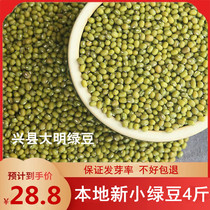 New mung bean Luliang farmhouse self-planted new 2kg organic mung bean porridge non-transgenic mung bean soup that can send bean sprouts