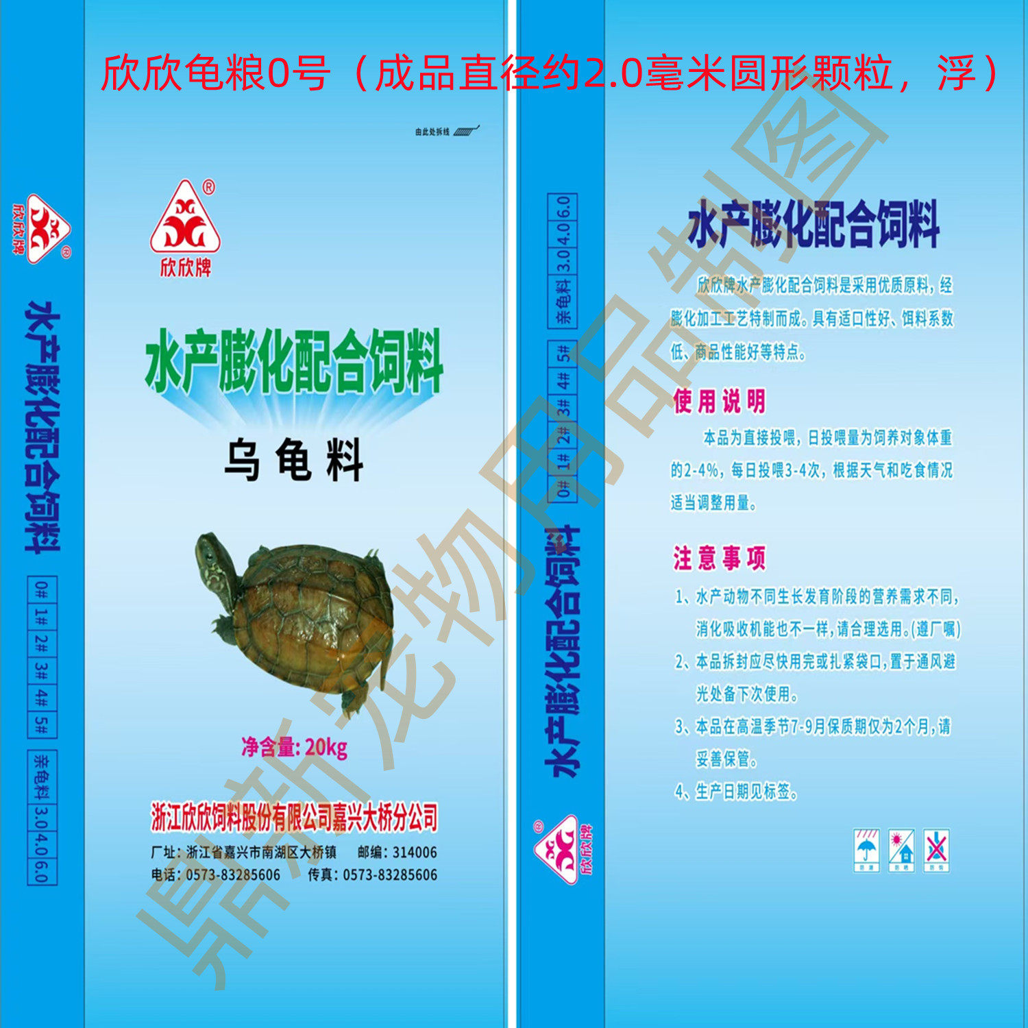 养一只白鳄鱼宠物安全吗？聊聊未来宠物新宠的那些事-宠物-淘宝百科网