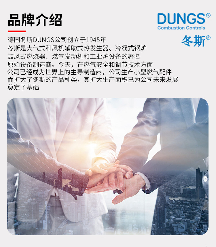 Газовый клапан 德国原装冬斯阀组mvdle205 207 210 215 220燃烧机电磁阀燃气阀组 Dungs