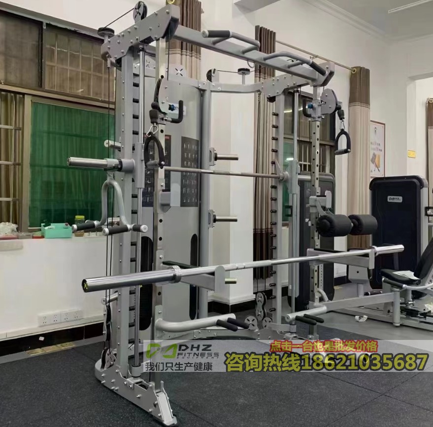DHZ Great Bearded E6247 Commercial Smith Machine Comprehensive Trainer Home Sleeper of Deep Squatting flying bird gantry-Taobao