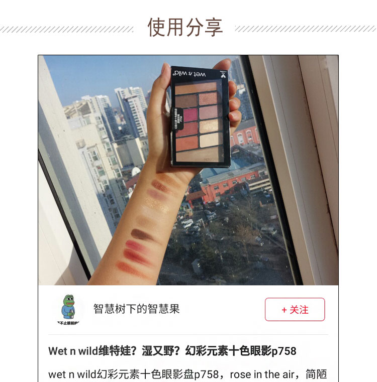 Spot US WetnWild / Wet and Wild Ten Color 10 Color Eyeshadow Disc Renaissance Disk Màu đất tự nhiên - Bóng mắt bảng mắt 3ce 25 màu