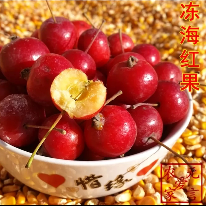 河曲冻海红果为何被誉为“冻槟果”和“冻海棠果”的美味之王?-海棠果-淘宝好物网