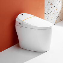 Arrows Smart Toilet All-in-One Home Toilet Automatic Rinse Dry Heated Seat Potty AKE1111