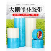Repair loopholes cold-resistant adhesive film anti-adhesive cloth anti-oxidation greenhouse tape repair repair glue large roll sun-resistant greenhouse film