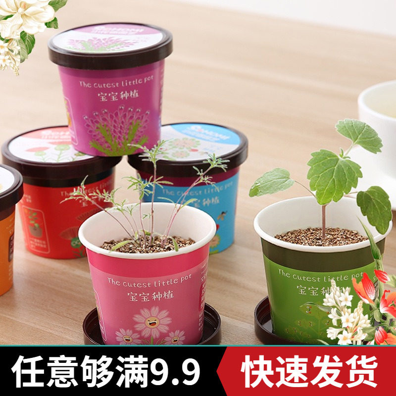 Green potted office mini plant grass planting QQ expression grass head doll desktop ecological bottle potted plant