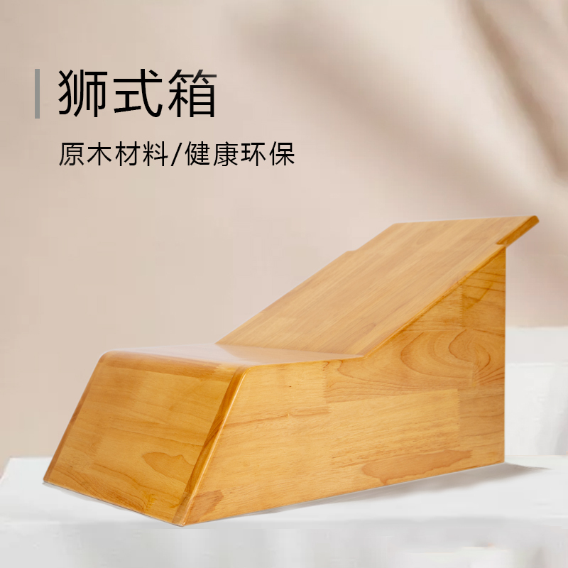 Iyengar Yoga Props Yoga Lion Box