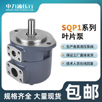 High pressure oil pump SQP1-14 12 11 10 8 7 6 5 4 3 2-1A 1B 1C 1D-18 vane pump