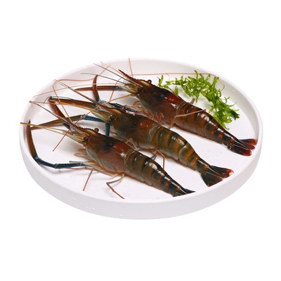Macrobrachium rosenbergii пресноводный пресноводный невесовой (15-20 шт/500г)