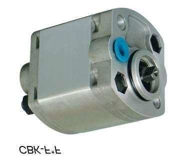 China Lioxicillin Linlinde Hang fork forcing small diamond carrying car hydraulic motor CBU gear suction oil pump