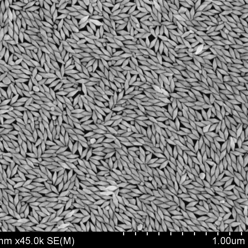 金纳米双锥/胶体金/吸收峰700-1200可定制 科研用5天发货顺丰包邮