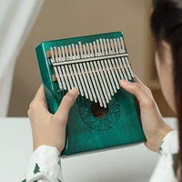 21-тональный стиль блюда с синей краской (ядро цветов персика)