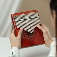 21-тонный стиль красной краски (ядро цветов персика)