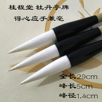 Guitfu Tong pens the peony pavilion Calligraphy Brush with a hand and a luxury brush line book L Ou Kai in block drawing