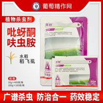 Lianggong Andao wheat pyperidone dinoteamine Rice Rice planthopper tree peach aphid cotton watermelon aphid insecticide