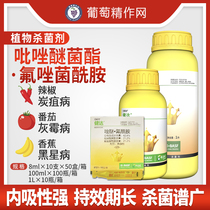  BASF Kinda ether ester Strawberry watermelon cucumber grape gray mold powdery mildew pesticide fungicide 8-100ml