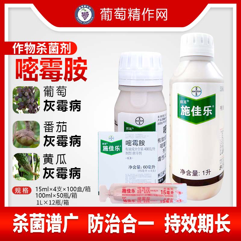 German Bayer Schcanalem Pyrimethamine Tomato Cucumber Grape Grey Moldy Plant Agricultural Pesticide Fungicide