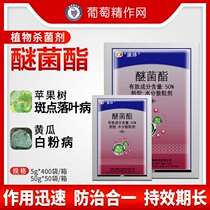 R Conzeether Fungus Ester Lunar Season Grape Strawberry Cucumber Mango White Powder Apple Deciduous Disease Pesticide Fungicide