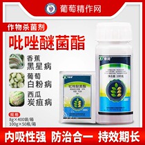 R Green Qi Pyidazole Ether Bacteria Ester Grape Cream Mildew Strawberry Cucumber White Powder powdery mildew watermelon anthrax pesticide fungicide
