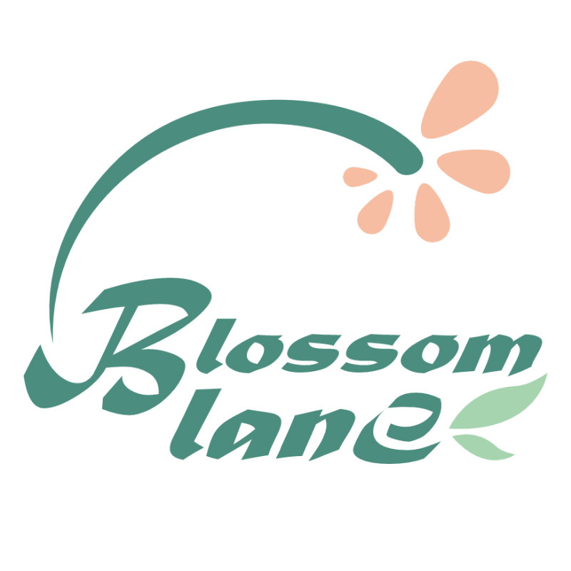 Blossomlane潮玩店