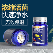 Aquarium Nitrifying Bacteria Capsules Super Concentrated Nitrifying Bacteria Dry Powder Aquarium Purifying Agent Fish Digestive Bacteria