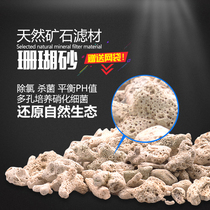 Fish tank coral bone filter material culture coral stone aquarium bottom filter tank natural stone bottom sand landscape decoration