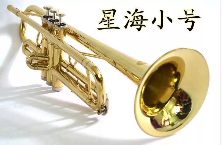 x Trumpet Musical Instrument Student Beginner Professional Performance Grade Children Adult School Church B-flat