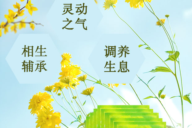 妍 tám ly mặt nạ dưỡng ẩm dưỡng ẩm 30 miếng lụa 8 ly mặt nạ nước chính hãng 1 nhân dân tệ bột trà xanh đắp mặt