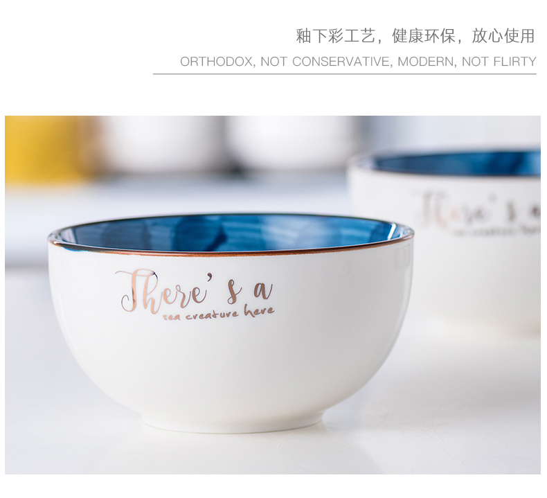 Jingdezhen Japanese hand - made ceramic dish dish dish household creative move a single tableware ceramic bowl noodles soup bowl