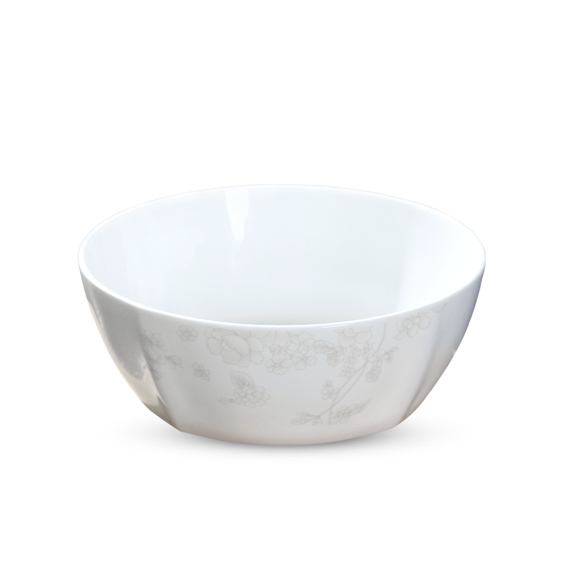 Jingdezhen home dishes suit Chinese express to use ipads porcelain tableware individual contracted combination noodles in soup dishes
