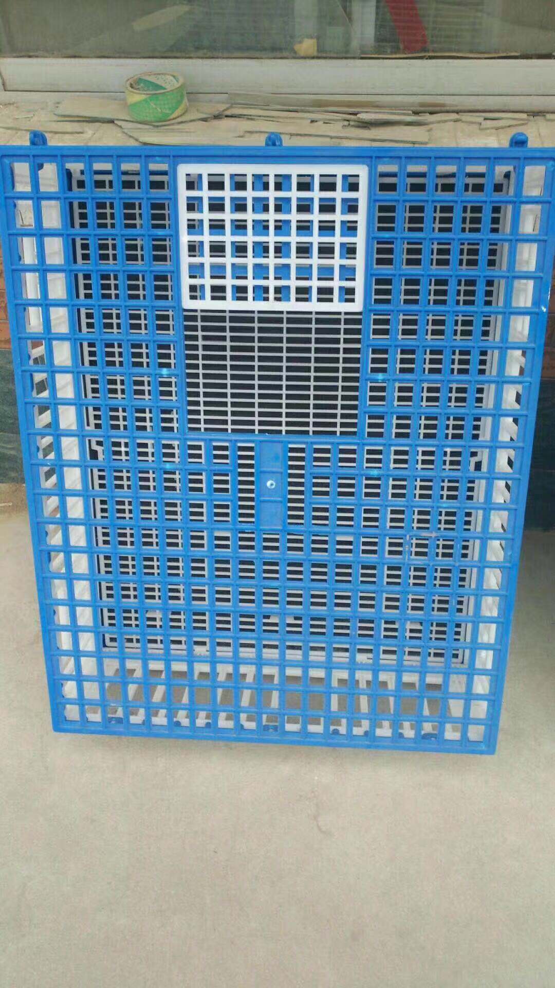 Thư đua chim bồ câu cung cấp thiết bị chim bồ câu lồng nhựa bay lồng huấn luyện lồng báo cáo lồng sưu tập lồng chim bồ câu lồng đào - Chim & Chăm sóc chim Supplies máng cho gà ăn