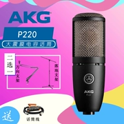 AKG tình yêu công nghệ P220 màng lớn hình trái tim chỉ giọng hát nhạc cụ chuyên nghiệp ghi âm karaoke neo tụ micro - Nhạc cụ MIDI / Nhạc kỹ thuật số
