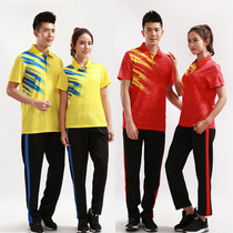 Quick-dry volleyball suit set mens and womens short-sleeved tennis air volleyball jersey training competition team uniform printed number