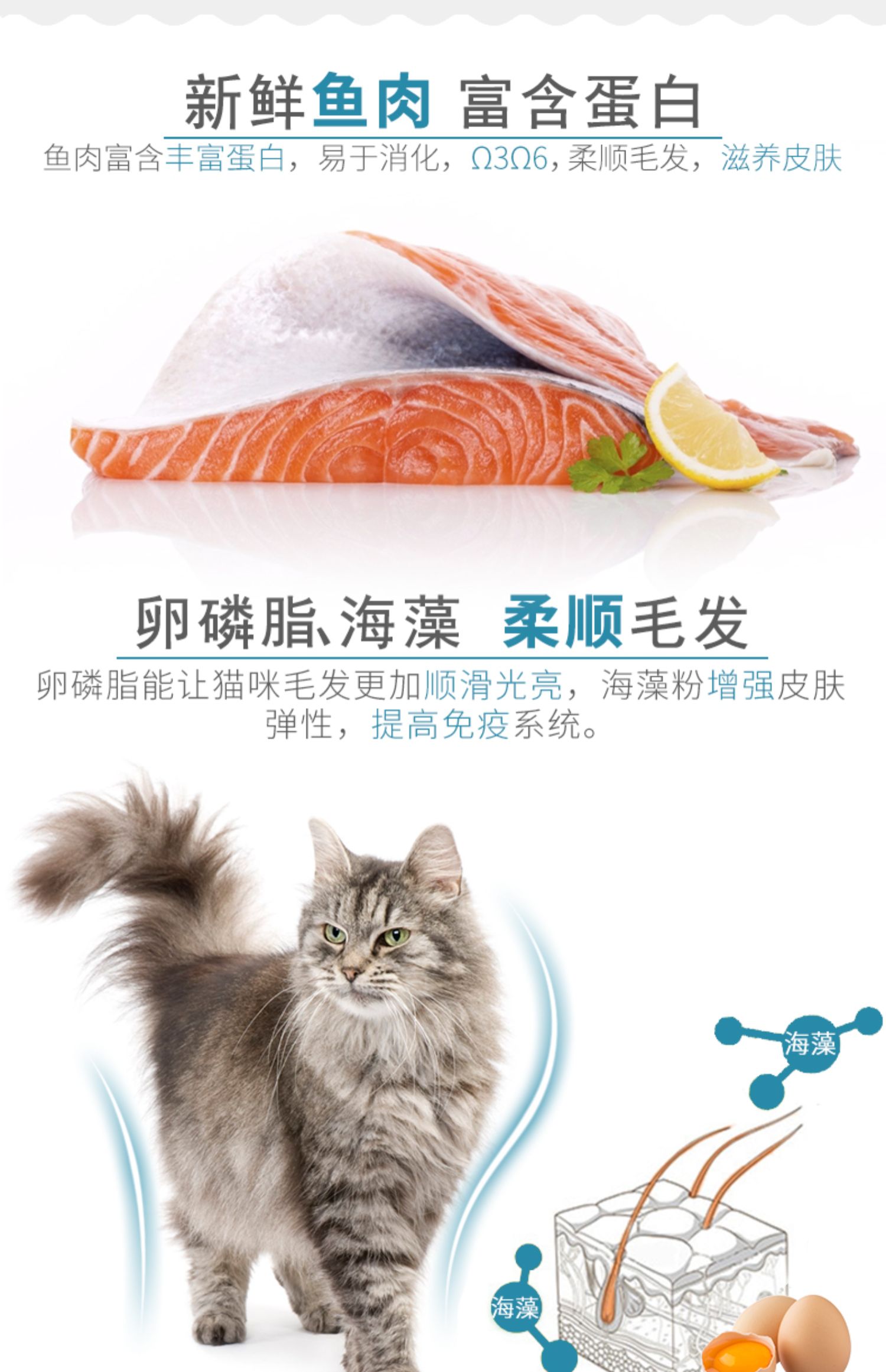Thức ăn ngon cho mèo thức ăn ít muối hải sản cá hương vị thức ăn cho mèo 1-12 tháng 5 kg thức ăn cho mèo Norre thức ăn 2,5kg - Cat Staples hạt catsrang