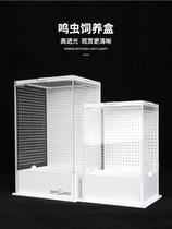 Reptizoo Acrylic Feeding Box Grasshopper Insect Box Mantis Tank Grasshopper Cage Song Insect Ecological Box Cricket Box