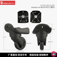 W147#африканская пара