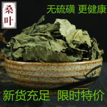 Freshly dried mulberry leaves after frost mulberry leaf tea Chinese medicinal materials non-Tongrentang 500g special grade