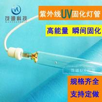 3kw3000WUV curing LAMP UV LAMP shameless Adhesive curing mercury LAMP high pressure Mercury LAMP UV LAMP