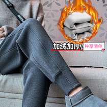 Pregnant woman pants winter plus suede thickened pregnant woman pants autumn and winter outside wearing underpants cotton pants warm autumn and winter style female winter clothing
