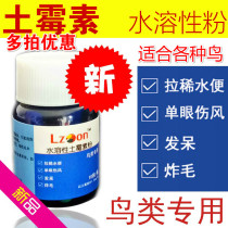 Bird medication in Chicki parrot oxytetracycline powder for treatment of diarrhea water green stool dysentery