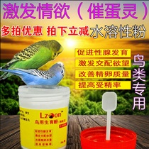 Bird medicine fertility powder phenol budgeriger parrot phenol mating egg-inducing fertilization and oxytocin estrus egg Wren
