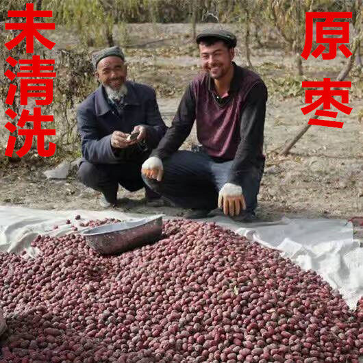New jujube Xinjiang gray jujube Ruoqiang red jujube Loulan unwashed original ecology hanging dried jujube porridge jujube pregnant women snacks 500g