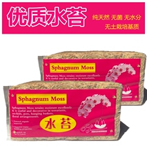 Water Temple Orchid Butterfly Orchid Cultural Material Iron Clement Dendum Dry Moss Planting Medium Specialized Nutritional Soil Fertilizer