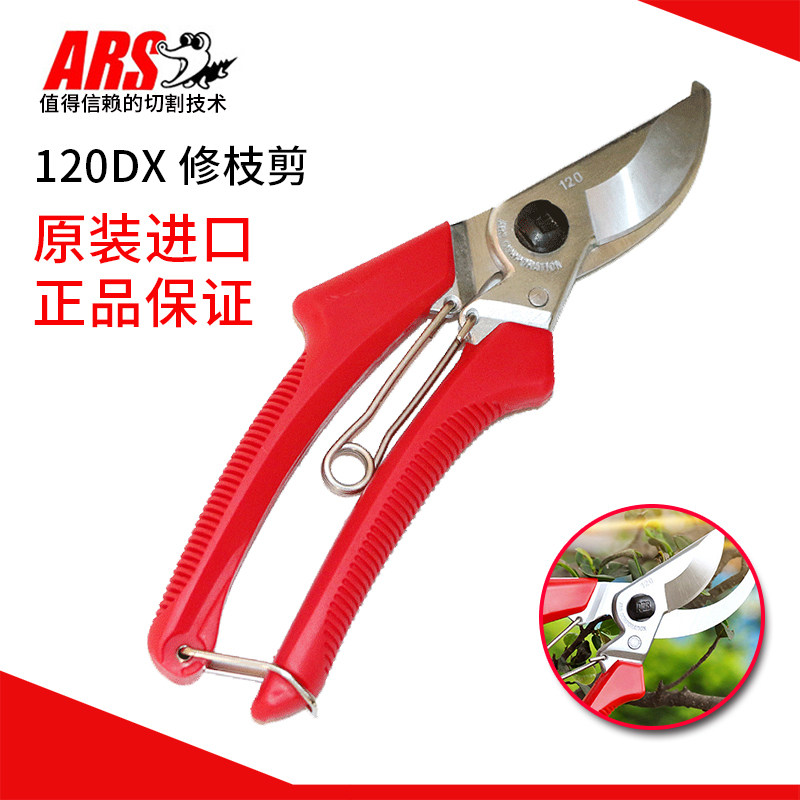 Japan Alice commonly used ARS pruning scissors gardening scissors imported garden tools bonsai fruit tree courtyard orchard