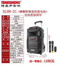 Teme Sound Acoustics S12-31 Outdoor Advanced Sound Card Function Net Red Live Mic high power Bluetooth Smart Box