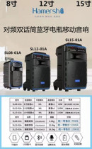 Hansheng Sound 12 Inch Outdoor Pull Rod High Power S15 Performance Square Dance Microphone 8 Inch Bluetooth Battery Heavy Bass