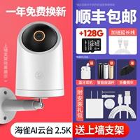 [Hot Sale Behiprosion] Park AI Global Camera 2,5K+128G