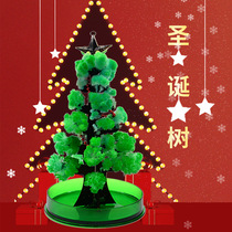 Christmas Tree Will Blossom Paper Trees Amazing Magic Watering Crystal Trees Send Children Christmas Toys Science Experiments