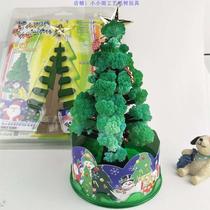 Magic crystal tree that blooms when watered. Magic paper tree that grows. Childhood toy. Christmas gift for children.